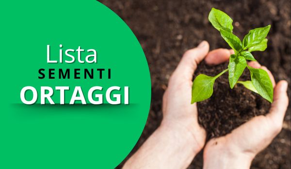 semi di ortaggi