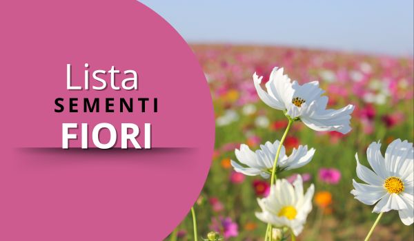 semi di fiori