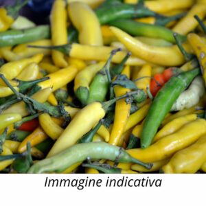 Semi di Peperoncino Cayenna Giallo