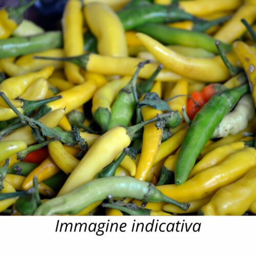Semi di Peperoncino Cayenna Giallo