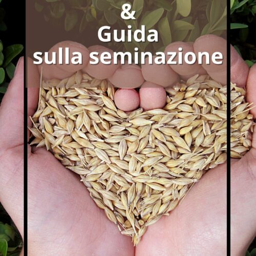 Manuale e istruzioni personalizzate per la semina